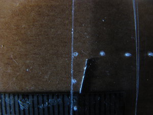 IMG_2929.JPG (2394 просмотра) <a class='original' href='./download/file.php?id=47988&mode=view' target=_blank>Загрузить оригинал (829.52 КБ)</a>