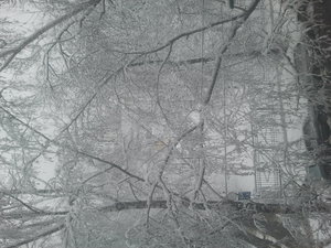 111111.jpg (2274 просмотра) <a class='original' href='./download/file.php?id=48421&mode=view' target=_blank>Загрузить оригинал (1.72 МБ)</a>