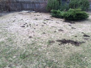 image.jpg (2057 просмотров) <a class='original' href='./download/file.php?id=48425&mode=view' target=_blank>Загрузить оригинал (4.02 МБ)</a>