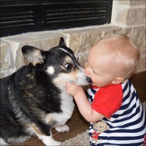 4bb793c92a145716f10f5058789f7396.jpg (1756 просмотров) <a class='original' href='./download/file.php?id=48559&mode=view' target=_blank>Загрузить оригинал (227.57 КБ)</a>