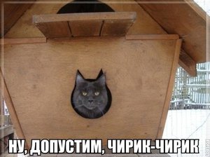 BKjZ9tsZfEA.jpg (1634 просмотра) <a class='original' href='./download/file.php?id=48627&mode=view' target=_blank>Загрузить оригинал (55.86 КБ)</a>