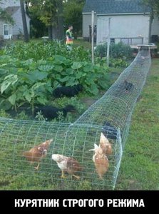 6_FE1YVVnV0.jpg (1634 просмотра) <a class='original' href='./download/file.php?id=48628&mode=view' target=_blank>Загрузить оригинал (47.26 КБ)</a>