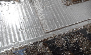 IMG_20150424_171154.jpg (3871 просмотр) <a class='original' href='./download/file.php?id=48909&mode=view' target=_blank>Загрузить оригинал (1.07 МБ)</a>