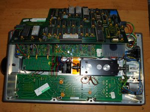 DSC03039 (Копировать).JPG (6269 просмотров) <a class='original' href='./download/file.php?id=49137&mode=view' target=_blank>Загрузить оригинал (415.47 КБ)</a>