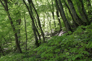 IMG_6411.jpg (2811 просмотров) <a class='original' href='./download/file.php?id=49292&mode=view' target=_blank>Загрузить оригинал (653.67 КБ)</a>