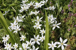 IMG_6513.jpg (2811 просмотров) <a class='original' href='./download/file.php?id=49294&mode=view' target=_blank>Загрузить оригинал (362.42 КБ)</a>