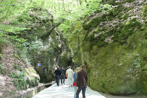 IMG_6456.jpg (2811 просмотров) <a class='original' href='./download/file.php?id=49296&mode=view' target=_blank>Загрузить оригинал (661.52 КБ)</a>