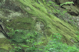 IMG_6476.jpg (2811 просмотров) <a class='original' href='./download/file.php?id=49305&mode=view' target=_blank>Загрузить оригинал (588.88 КБ)</a>