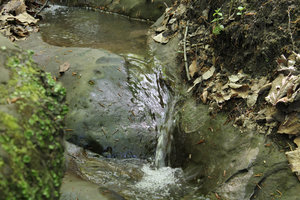 IMG_6492.jpg (2811 просмотров) <a class='original' href='./download/file.php?id=49307&mode=view' target=_blank>Загрузить оригинал (415.84 КБ)</a>