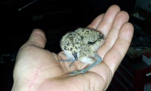 20150505_002818.jpg (1784 просмотра) <a class='original' href='./download/file.php?id=49595&mode=view' target=_blank>Загрузить оригинал (94.14 КБ)</a>