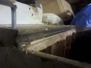 Фото2284.jpg (3695 просмотров) <a class='original' href='./download/file.php?id=49807&mode=view' target=_blank>Загрузить оригинал (96.25 КБ)</a>