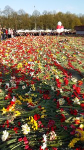 20150509_191851.jpg (9814 просмотров) <a class='original' href='./download/file.php?id=50262&mode=view' target=_blank>Загрузить оригинал (1.62 МБ)</a>