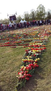 20150509_191043.jpg (9812 просмотров) <a class='original' href='./download/file.php?id=50267&mode=view' target=_blank>Загрузить оригинал (2.02 МБ)</a>