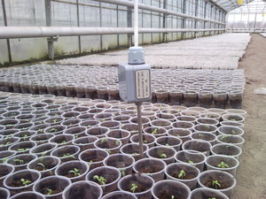 термодатчик (4169 просмотров) <a class='original' href='./download/file.php?id=50571&mode=view' target=_blank>Загрузить оригинал (1.14 МБ)</a>