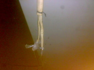 21052015292.jpg (2083 просмотра) <a class='original' href='./download/file.php?id=50711&mode=view' target=_blank>Загрузить оригинал (337.16 КБ)</a>