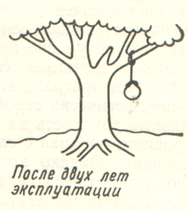 6.png (2790 просмотров) <a class='original' href='./download/file.php?id=50761&mode=view' target=_blank>Загрузить оригинал (148 КБ)</a>