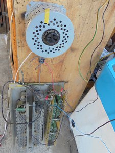 DSC03128 (Копировать).JPG (5786 просмотров) <a class='original' href='./download/file.php?id=50790&mode=view' target=_blank>Загрузить оригинал (254.71 КБ)</a>