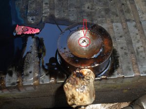 DSC03132 (Копировать).JPG (5786 просмотров) <a class='original' href='./download/file.php?id=50791&mode=view' target=_blank>Загрузить оригинал (339.01 КБ)</a>