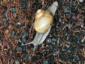 image.jpg (1960 просмотров) <a class='original' href='./download/file.php?id=50929&mode=view' target=_blank>Загрузить оригинал (1.61 МБ)</a>