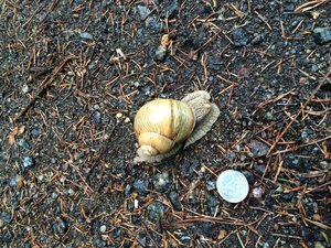 image.jpg (1960 просмотров) <a class='original' href='./download/file.php?id=50930&mode=view' target=_blank>Загрузить оригинал (3.37 МБ)</a>