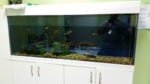 20150524_222857.jpg (3205 просмотров) <a class='original' href='./download/file.php?id=50940&mode=view' target=_blank>Загрузить оригинал (3.59 МБ)</a>