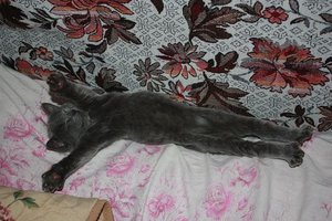 tmp_2612----317193086.jpg (1969 просмотров) <a class='original' href='./download/file.php?id=51040&mode=view' target=_blank>Загрузить оригинал (75.08 КБ)</a>