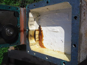 SAM_0566.JPG (3027 просмотров) <a class='original' href='./download/file.php?id=51308&mode=view' target=_blank>Загрузить оригинал (2.75 МБ)</a>