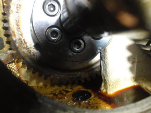 SAM_0571.JPG (2984 просмотра) <a class='original' href='./download/file.php?id=51312&mode=view' target=_blank>Загрузить оригинал (2.59 МБ)</a>