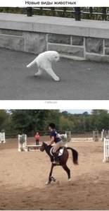 image.jpg (2214 просмотров) <a class='original' href='./download/file.php?id=51453&mode=view' target=_blank>Загрузить оригинал (78.57 КБ)</a>