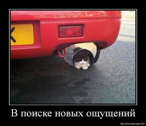 37455_578.jpg (1969 просмотров) <a class='original' href='./download/file.php?id=51790&mode=view' target=_blank>Загрузить оригинал (81.1 КБ)</a>