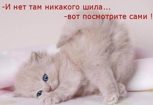 net-shila.jpg (4393 просмотра) <a class='original' href='./download/file.php?id=51913&mode=view' target=_blank>Загрузить оригинал (38.29 КБ)</a>