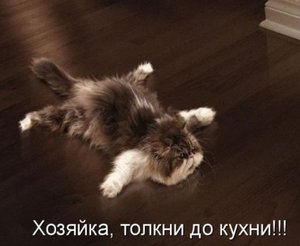 tolkni-mem.jpg (4393 просмотра) <a class='original' href='./download/file.php?id=51916&mode=view' target=_blank>Загрузить оригинал (37.42 КБ)</a>