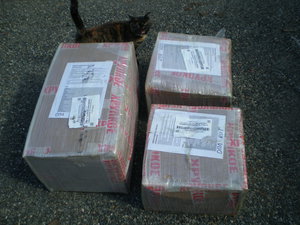 P1010701.JPG (3001 просмотр) <a class='original' href='./download/file.php?id=52177&mode=view' target=_blank>Загрузить оригинал (1.67 МБ)</a>