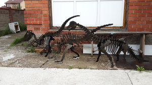 20140701_160045.jpg (2615 просмотров) <a class='original' href='./download/file.php?id=52295&mode=view' target=_blank>Загрузить оригинал (4.28 МБ)</a>