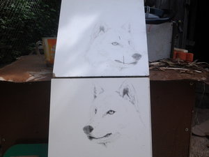 IMG_20150618_150504.jpg (3034 просмотра) <a class='original' href='./download/file.php?id=52591&mode=view' target=_blank>Загрузить оригинал (524.54 КБ)</a>