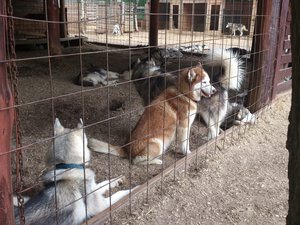 DSC_4081.jpg (1846 просмотров) <a class='original' href='./download/file.php?id=53581&mode=view' target=_blank>Загрузить оригинал (3.67 МБ)</a>