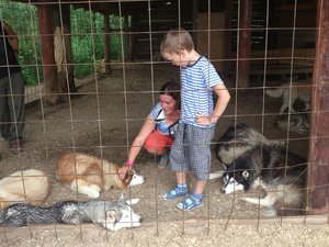 DSC_4085.jpg (1846 просмотров) <a class='original' href='./download/file.php?id=53582&mode=view' target=_blank>Загрузить оригинал (4.12 МБ)</a>