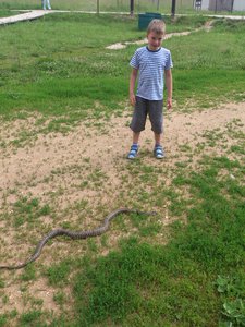 DSC_4089.jpg (1846 просмотров) <a class='original' href='./download/file.php?id=53583&mode=view' target=_blank>Загрузить оригинал (4.21 МБ)</a>