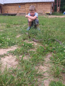 DSC_4093.jpg (1846 просмотров) <a class='original' href='./download/file.php?id=53584&mode=view' target=_blank>Загрузить оригинал (3.75 МБ)</a>