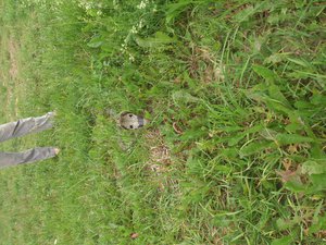 DSC_4096.jpg (1846 просмотров) <a class='original' href='./download/file.php?id=53586&mode=view' target=_blank>Загрузить оригинал (3.82 МБ)</a>