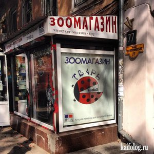 3928641.jpg (1367 просмотров) <a class='original' href='./download/file.php?id=55017&mode=view' target=_blank>Загрузить оригинал (68.8 КБ)</a>