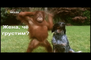 _yapfiles.ru_2_yapfiles.ru_yapfiles.ru.gif (1960 просмотров) <a class='original' href='./download/file.php?id=55586&mode=view' target=_blank>Загрузить оригинал (7.37 МБ)</a>