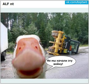 h_1439716674_3942497_00747a20be.jpg (1503 просмотра) <a class='original' href='./download/file.php?id=56075&mode=view' target=_blank>Загрузить оригинал (82.43 КБ)</a>