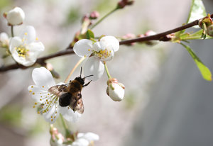 001.jpg (3114 просмотров) <a class='original' href='./download/file.php?id=56127&mode=view' target=_blank>Загрузить оригинал (282.08 КБ)</a>