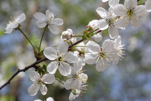 003.jpg (3114 просмотров) <a class='original' href='./download/file.php?id=56129&mode=view' target=_blank>Загрузить оригинал (272.89 КБ)</a>