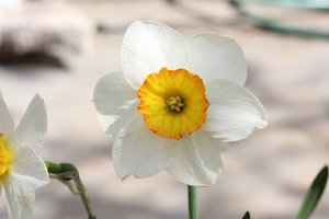 004.jpg (3114 просмотров) <a class='original' href='./download/file.php?id=56130&mode=view' target=_blank>Загрузить оригинал (217.98 КБ)</a>