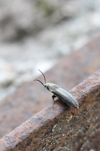 005.jpg (3114 просмотров) <a class='original' href='./download/file.php?id=56131&mode=view' target=_blank>Загрузить оригинал (200.08 КБ)</a>