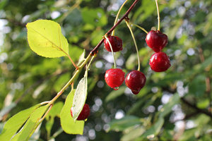 007.jpg (3114 просмотров) <a class='original' href='./download/file.php?id=56133&mode=view' target=_blank>Загрузить оригинал (267.51 КБ)</a>