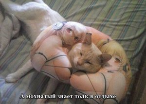 big.jpeg (1461 просмотр) <a class='original' href='./download/file.php?id=56267&mode=view' target=_blank>Загрузить оригинал (41.44 КБ)</a>