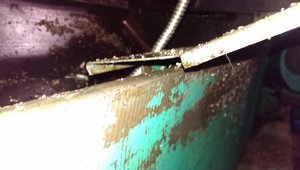 IMAG5167.jpg (7362 просмотра) <a class='original' href='./download/file.php?id=56285&mode=view' target=_blank>Загрузить оригинал (748.23 КБ)</a>